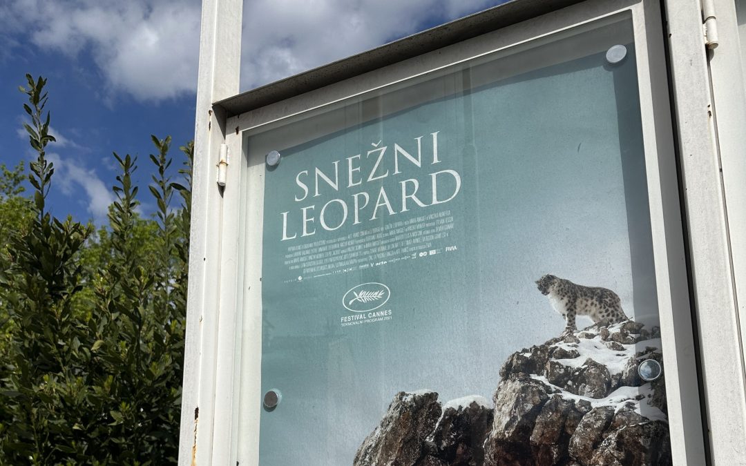 Ogled filma Snežni leopard